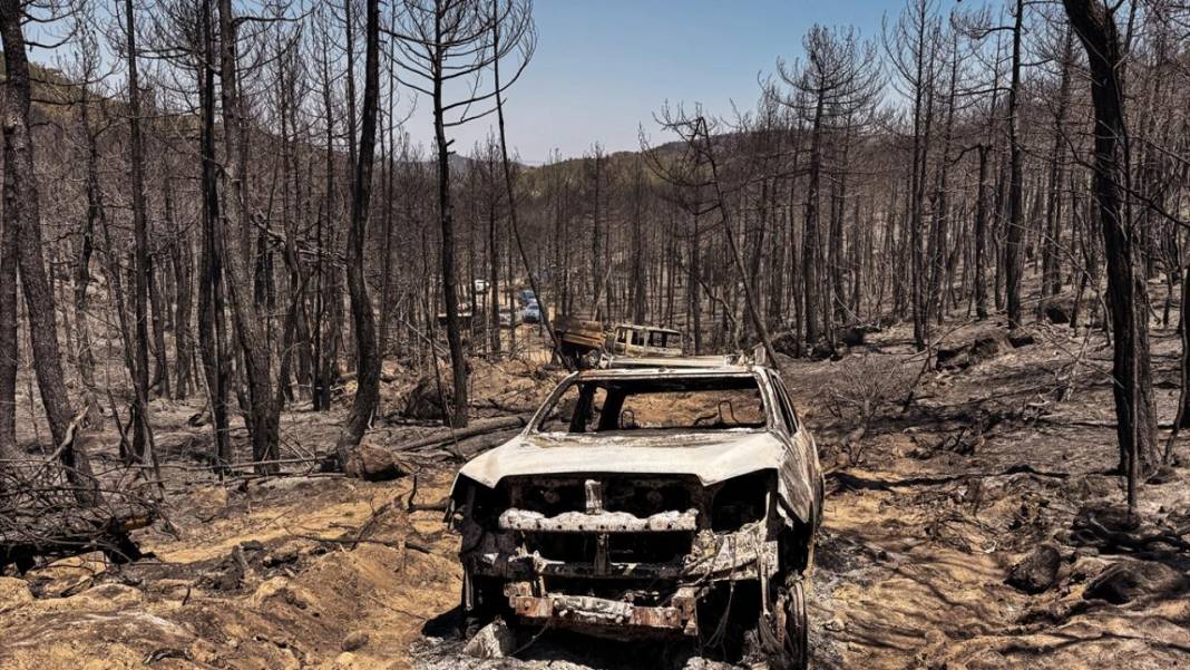 Yangın sonrası acı tablo: 'Yeşil' ve 'siyah' yan yana 14