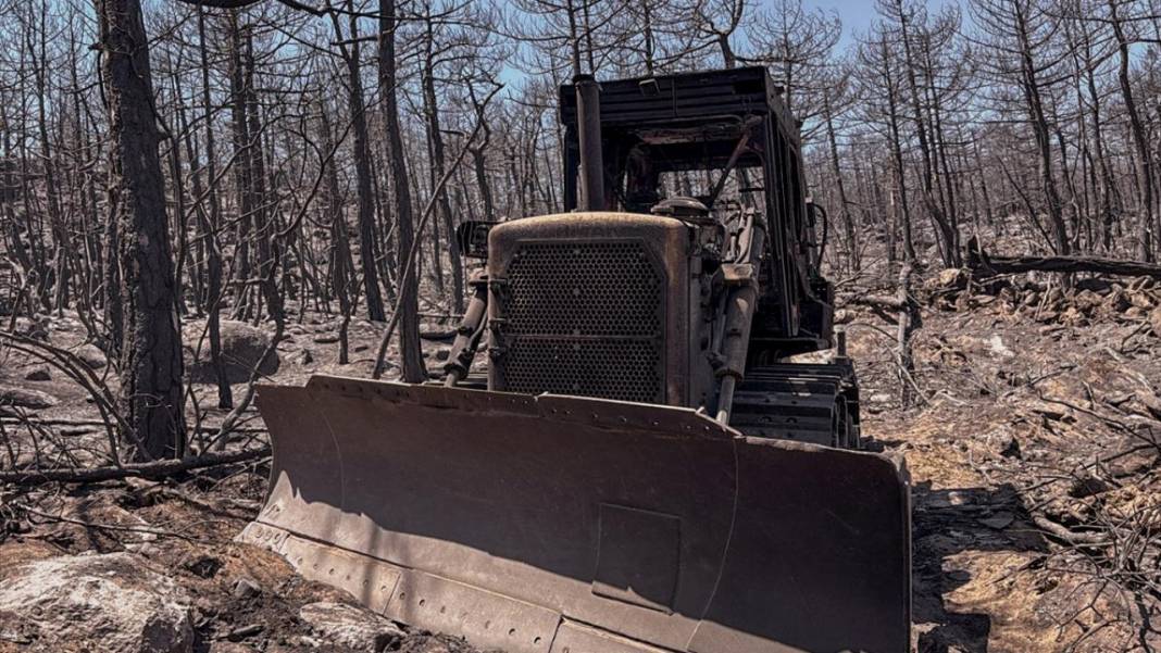 Yangın sonrası acı tablo: 'Yeşil' ve 'siyah' yan yana 15