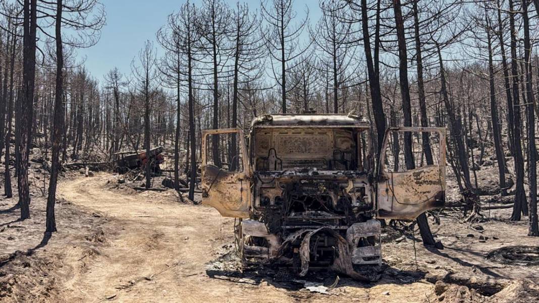 Yangın sonrası acı tablo: 'Yeşil' ve 'siyah' yan yana 16