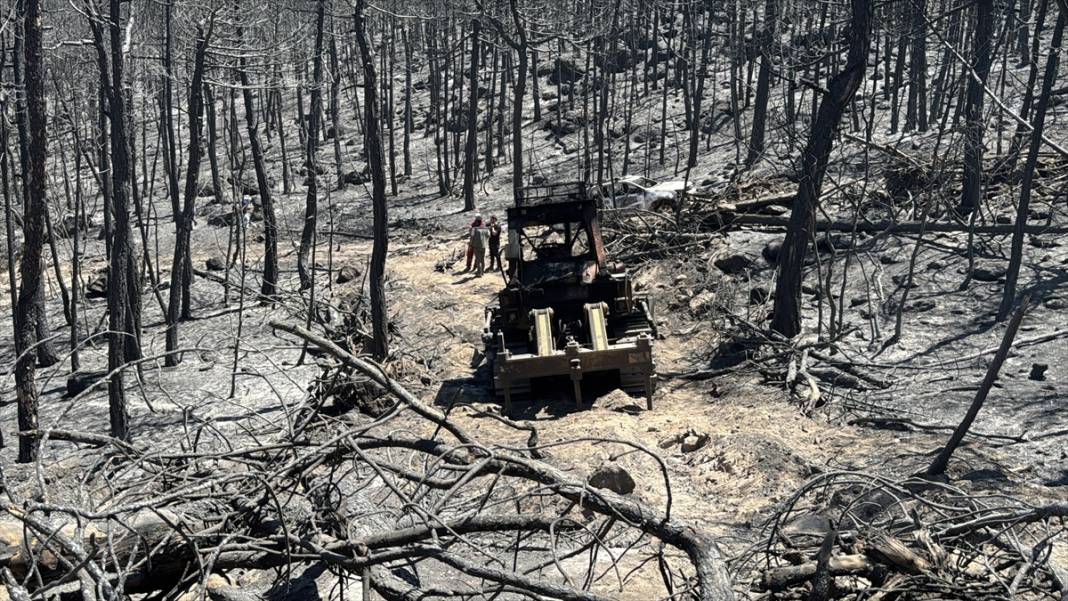 Yangın sonrası acı tablo: 'Yeşil' ve 'siyah' yan yana 18