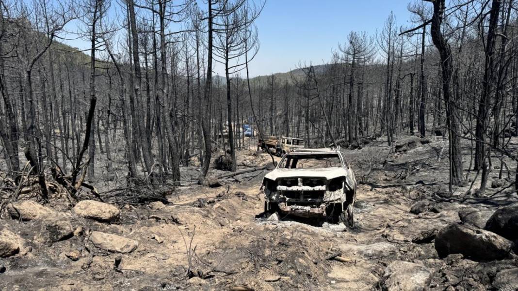 Yangın sonrası acı tablo: 'Yeşil' ve 'siyah' yan yana 19