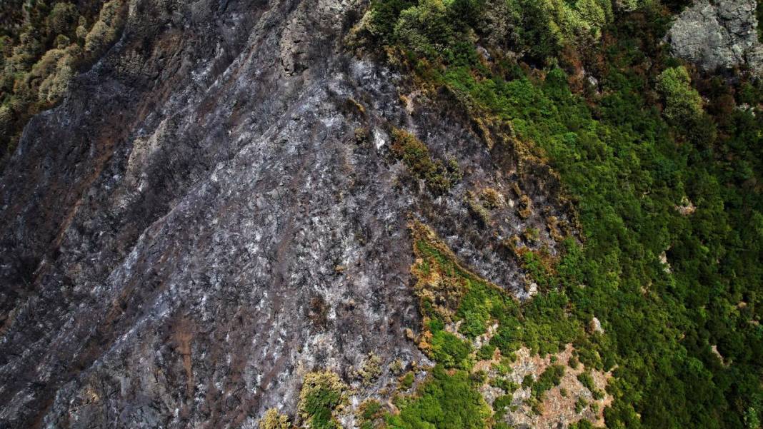 Yangın sonrası acı tablo: 'Yeşil' ve 'siyah' yan yana 2