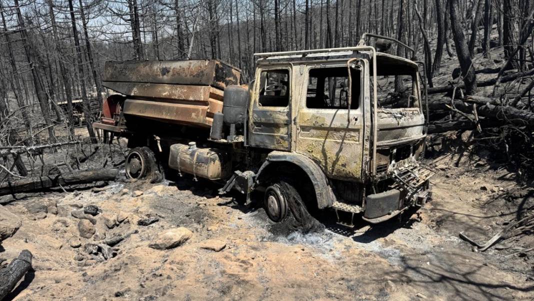 Yangın sonrası acı tablo: 'Yeşil' ve 'siyah' yan yana 20