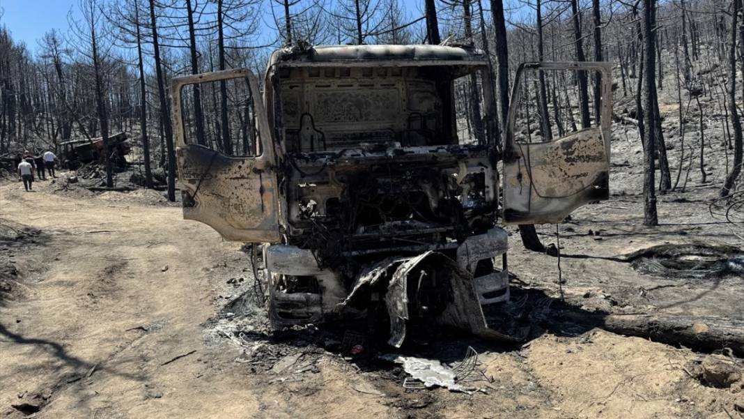 Yangın sonrası acı tablo: 'Yeşil' ve 'siyah' yan yana 21