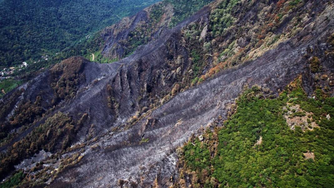 Yangın sonrası acı tablo: 'Yeşil' ve 'siyah' yan yana 3