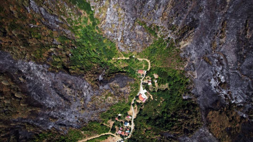 Yangın sonrası acı tablo: 'Yeşil' ve 'siyah' yan yana 4