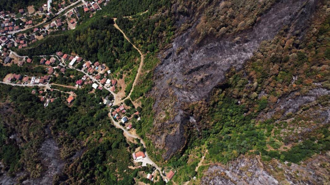 Yangın sonrası acı tablo: 'Yeşil' ve 'siyah' yan yana 5