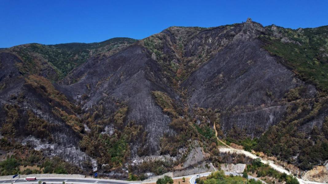 Yangın sonrası acı tablo: 'Yeşil' ve 'siyah' yan yana 6