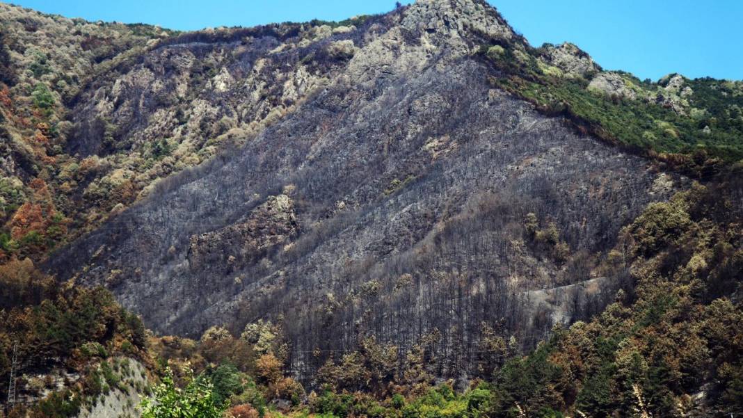 Yangın sonrası acı tablo: 'Yeşil' ve 'siyah' yan yana 8