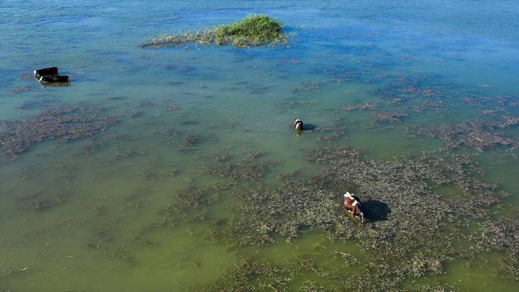 Denizli’nin saklı güzelliği: Işıklı Gölü 1