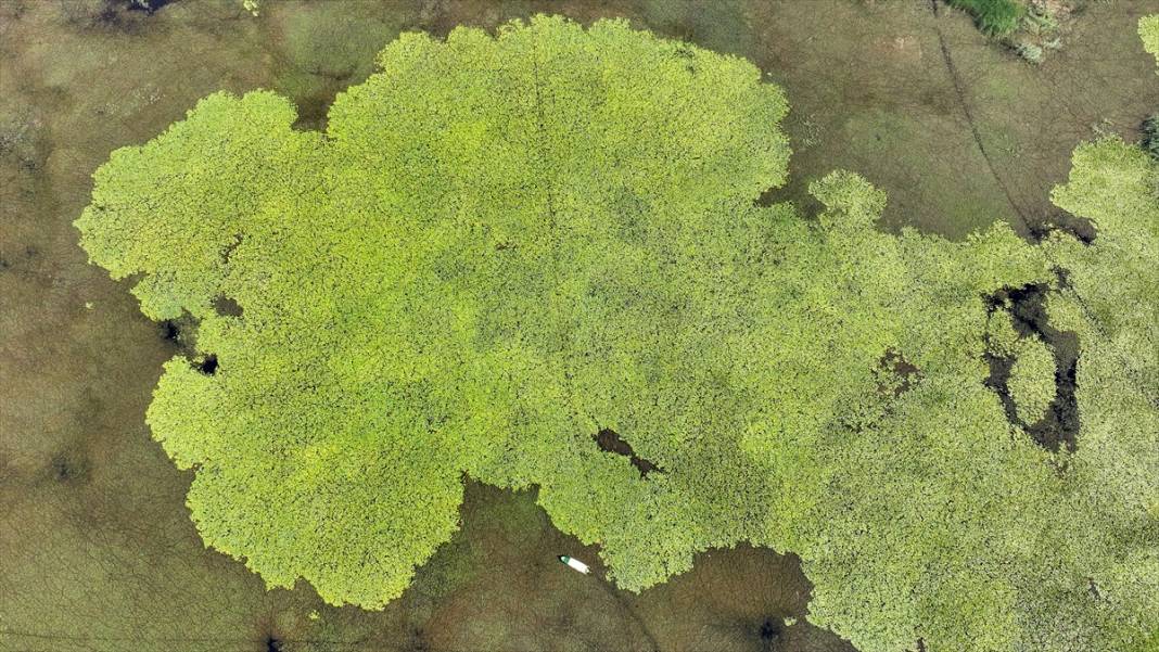 Denizli’nin saklı güzelliği: Işıklı Gölü 10