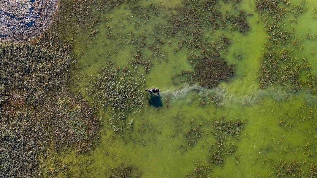 Denizli’nin saklı güzelliği: Işıklı Gölü 2