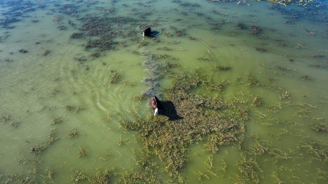 Denizli’nin saklı güzelliği: Işıklı Gölü 4