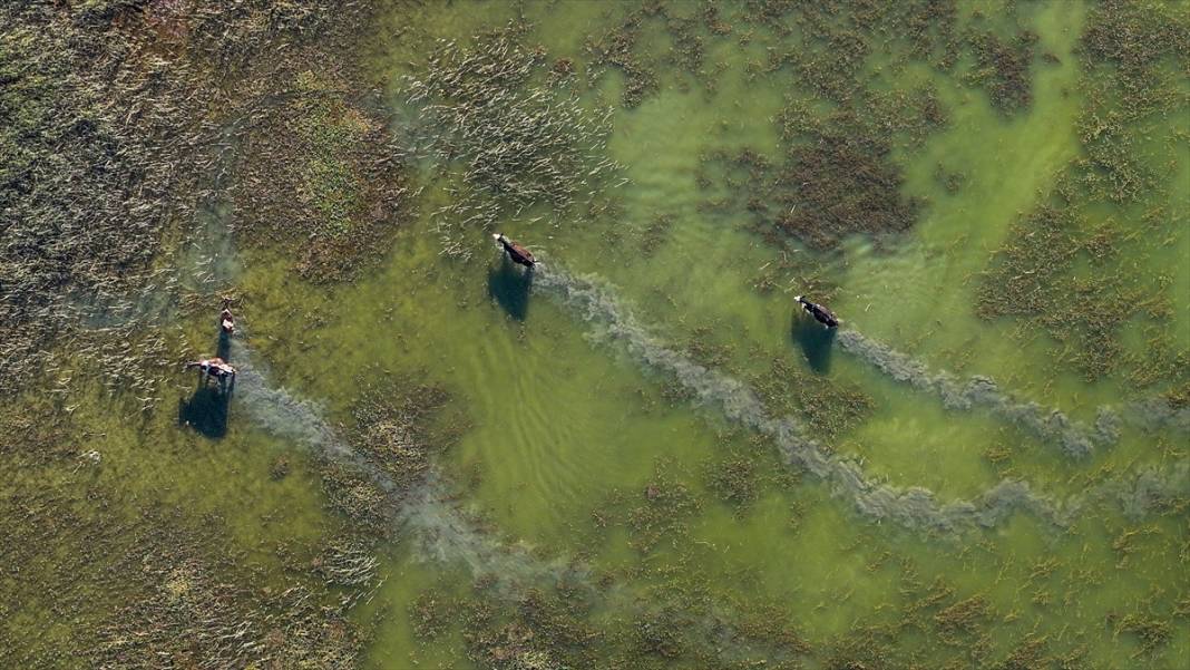 Denizli’nin saklı güzelliği: Işıklı Gölü 5