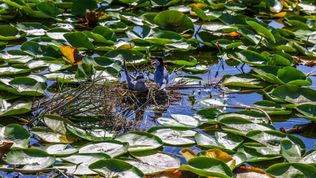 Denizli’nin saklı güzelliği: Işıklı Gölü 9