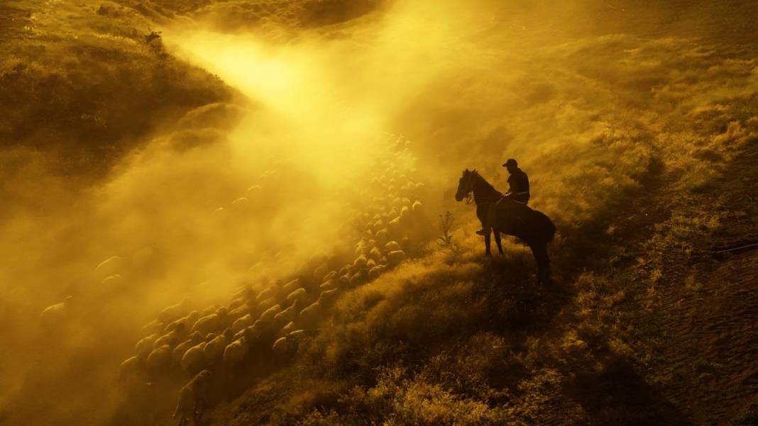 Bitlis'te koyunların tozlu yolculuğu görüntülendi 6