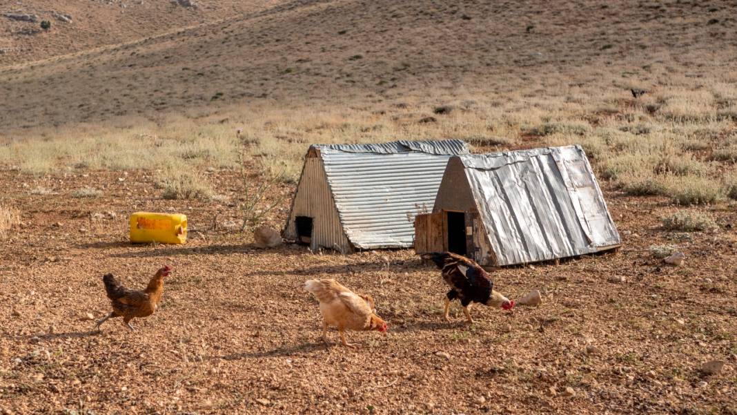 Toroslar'da yayla hayatı: Sade ve serin 12