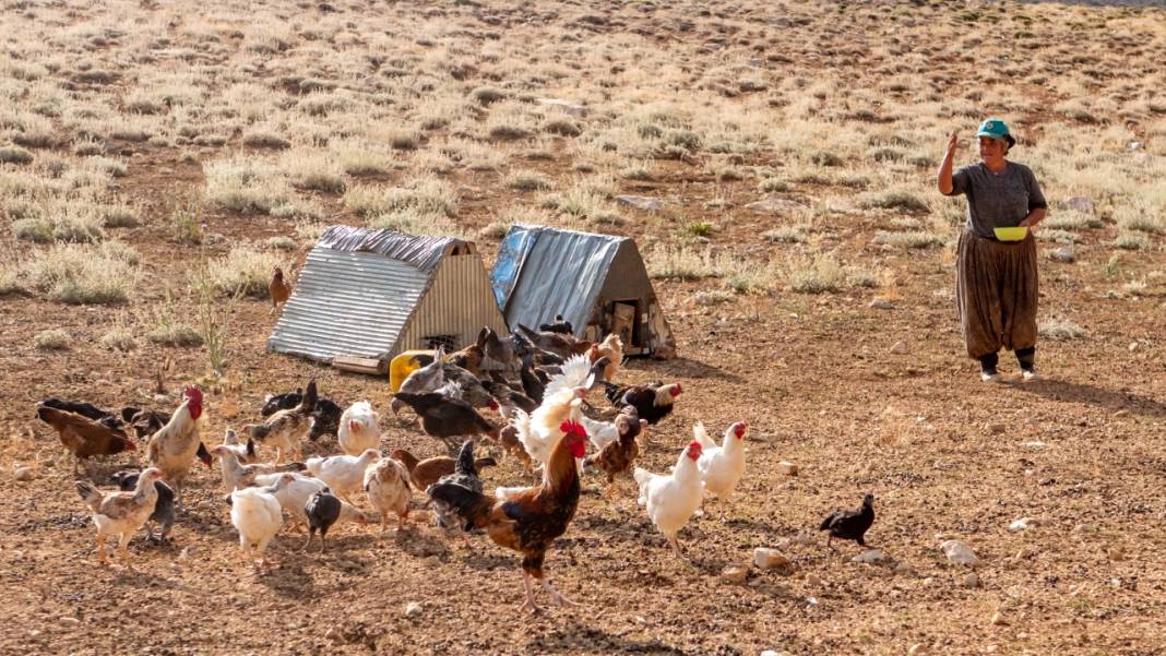 Toroslar'da yayla hayatı: Sade ve serin 13