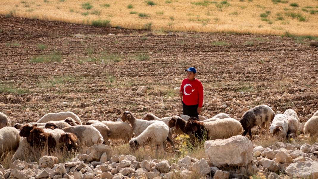 Toroslar'da yayla hayatı: Sade ve serin 15