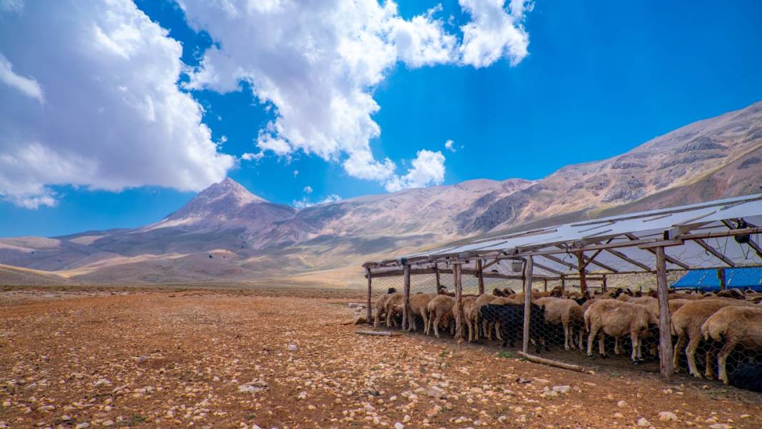 Toroslar'da yayla hayatı: Sade ve serin 4