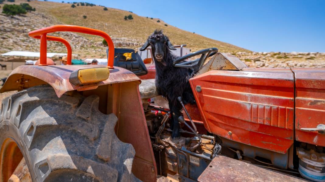 Toroslar'da yayla hayatı: Sade ve serin 5