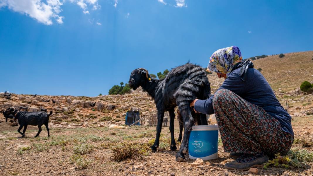 Toroslar'da yayla hayatı: Sade ve serin 6