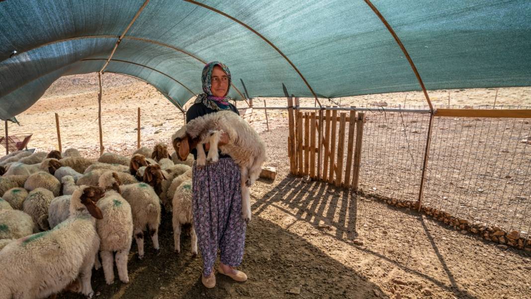 Toroslar'da yayla hayatı: Sade ve serin 8