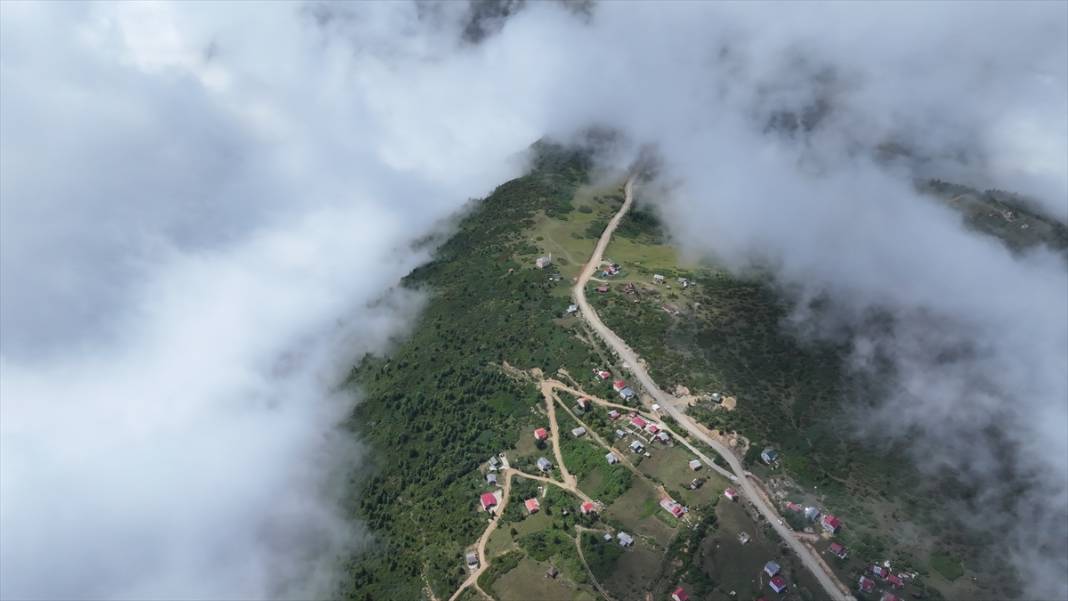 Sis Dağı Yaylası ziyaretçilerin gözdesi 12