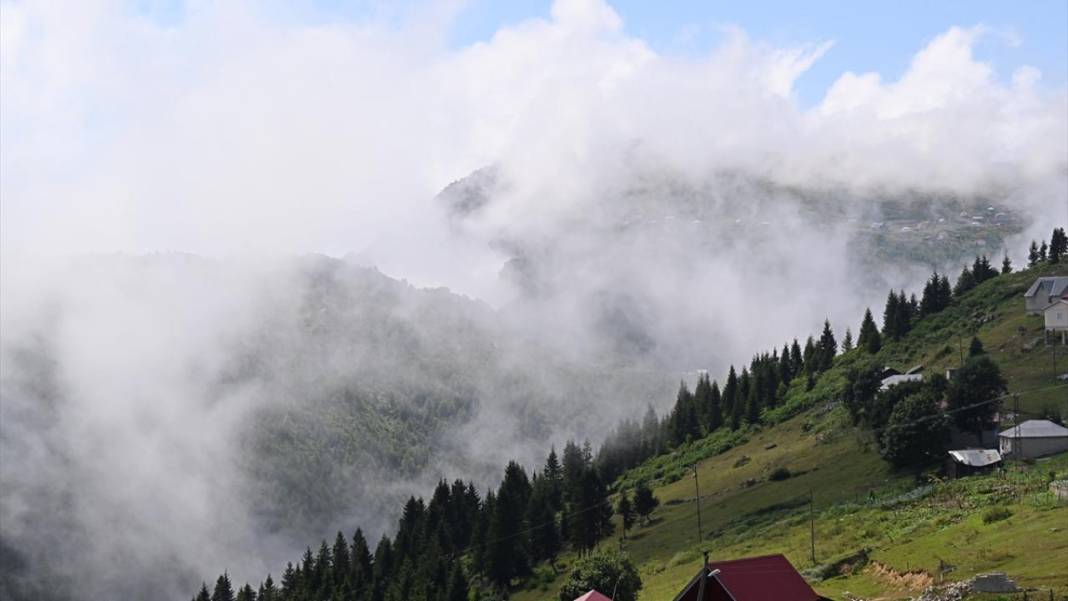 Sis Dağı Yaylası ziyaretçilerin gözdesi 5