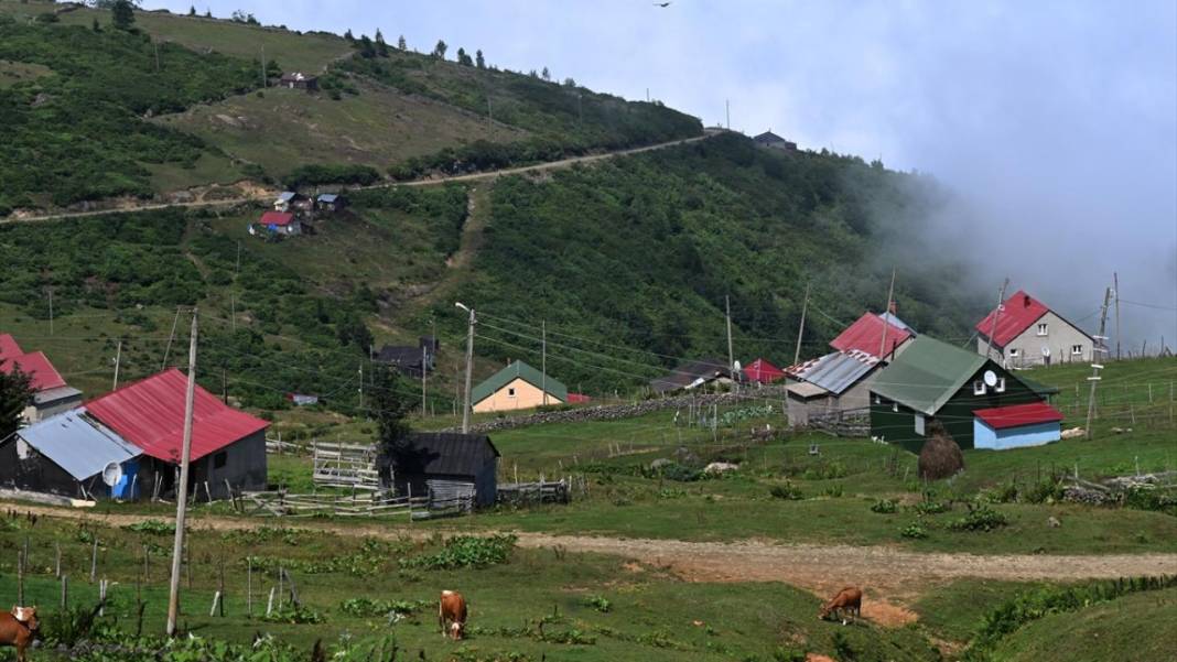 Sis Dağı Yaylası ziyaretçilerin gözdesi 6