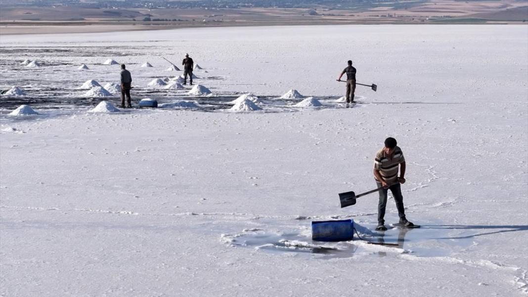 Palas Tuzla Gölü'nden dededen kalma yöntemlerle tuz çıkarma 12