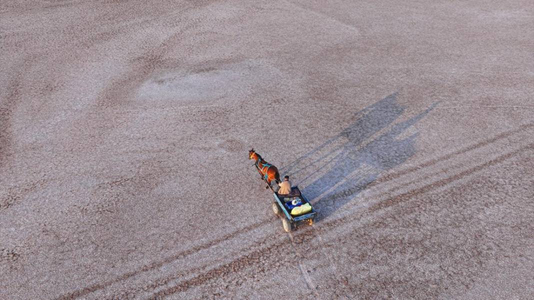 Palas Tuzla Gölü'nden dededen kalma yöntemlerle tuz çıkarma 13