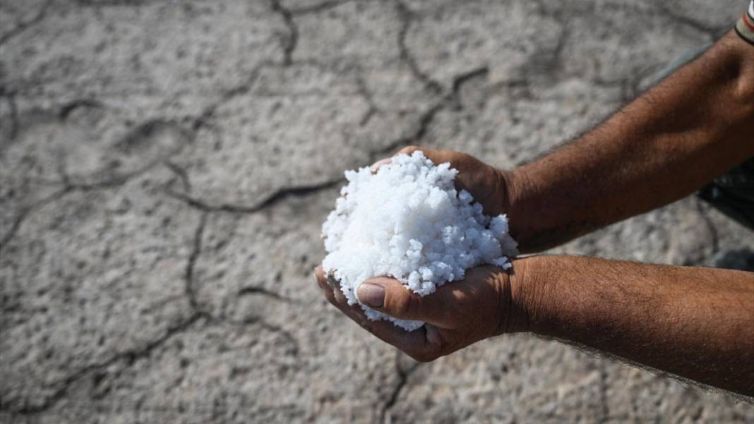 Palas Tuzla Gölü'nden dededen kalma yöntemlerle tuz çıkarma 15