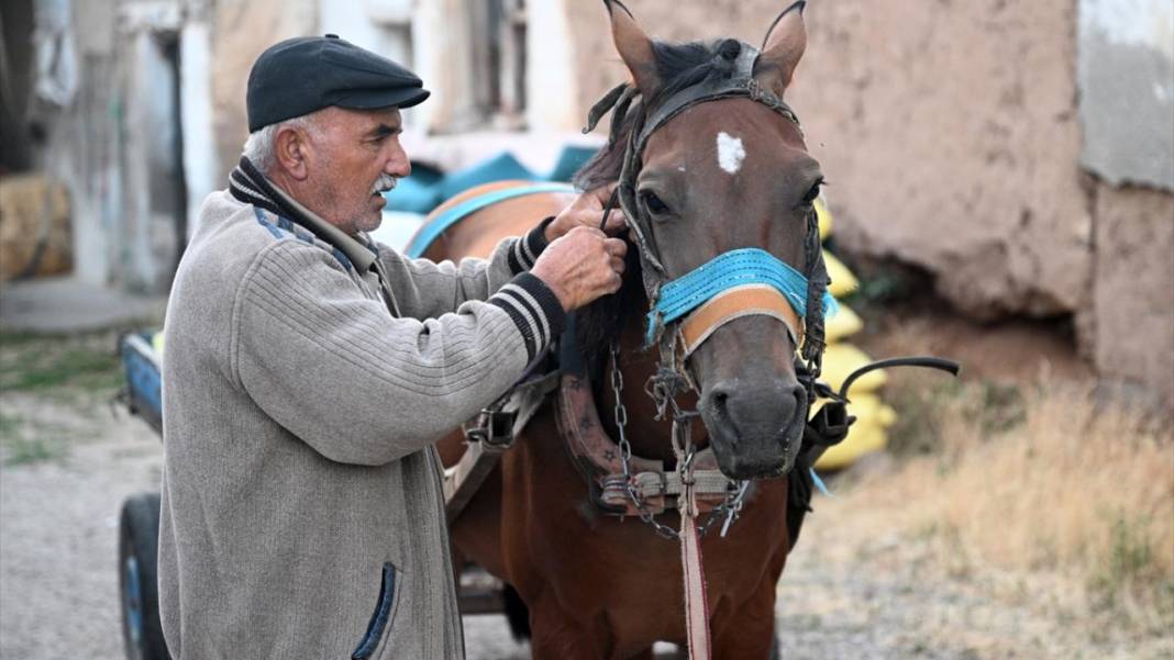 Palas Tuzla Gölü'nden dededen kalma yöntemlerle tuz çıkarma 4