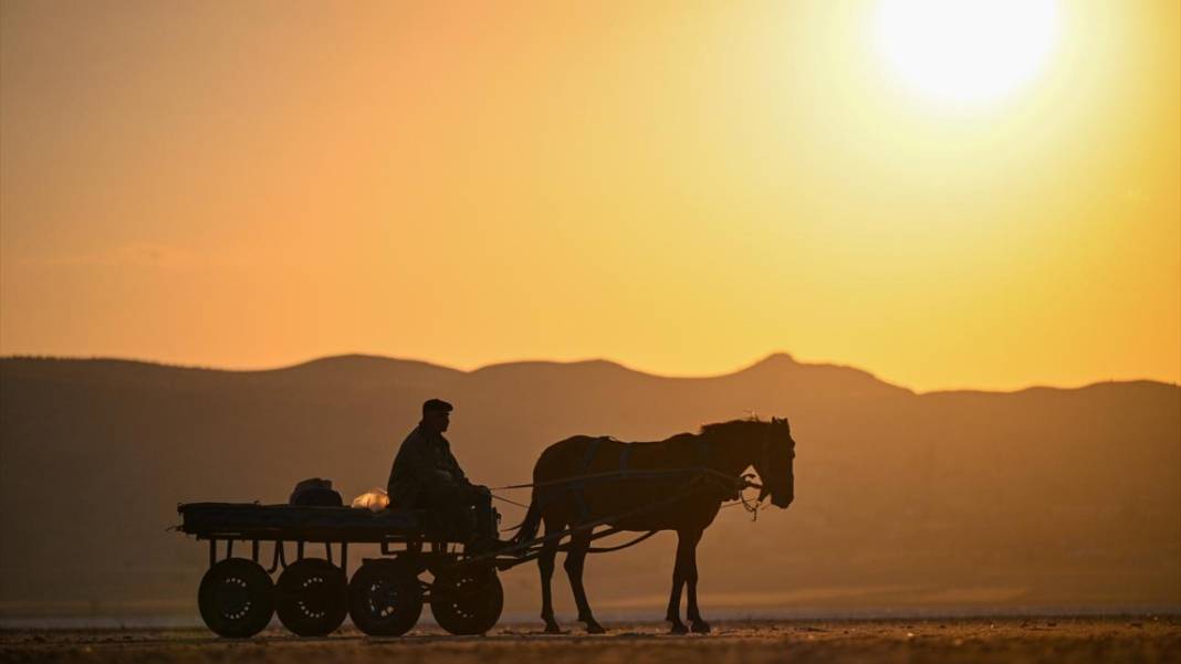 Palas Tuzla Gölü'nden dededen kalma yöntemlerle tuz çıkarma 5