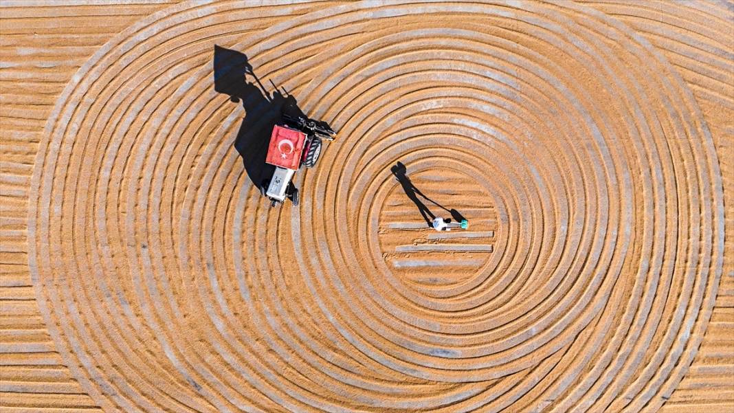 Nizip'te buğday, geleneksel yöntemlerle kurutuluyor 10