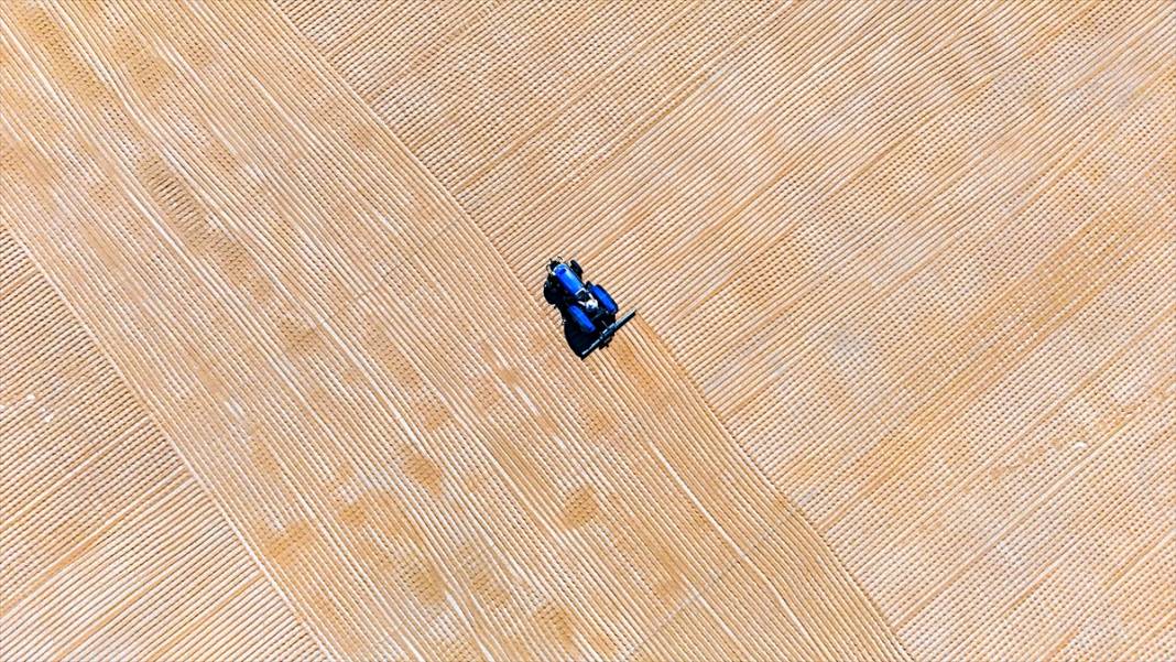 Nizip'te buğday, geleneksel yöntemlerle kurutuluyor 11