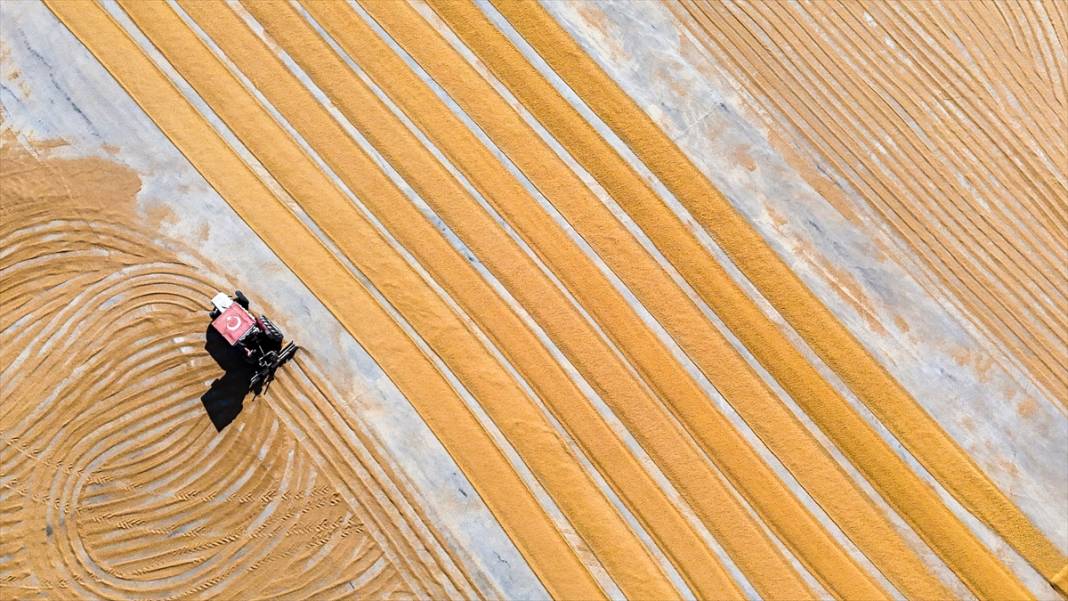 Nizip'te buğday, geleneksel yöntemlerle kurutuluyor 6