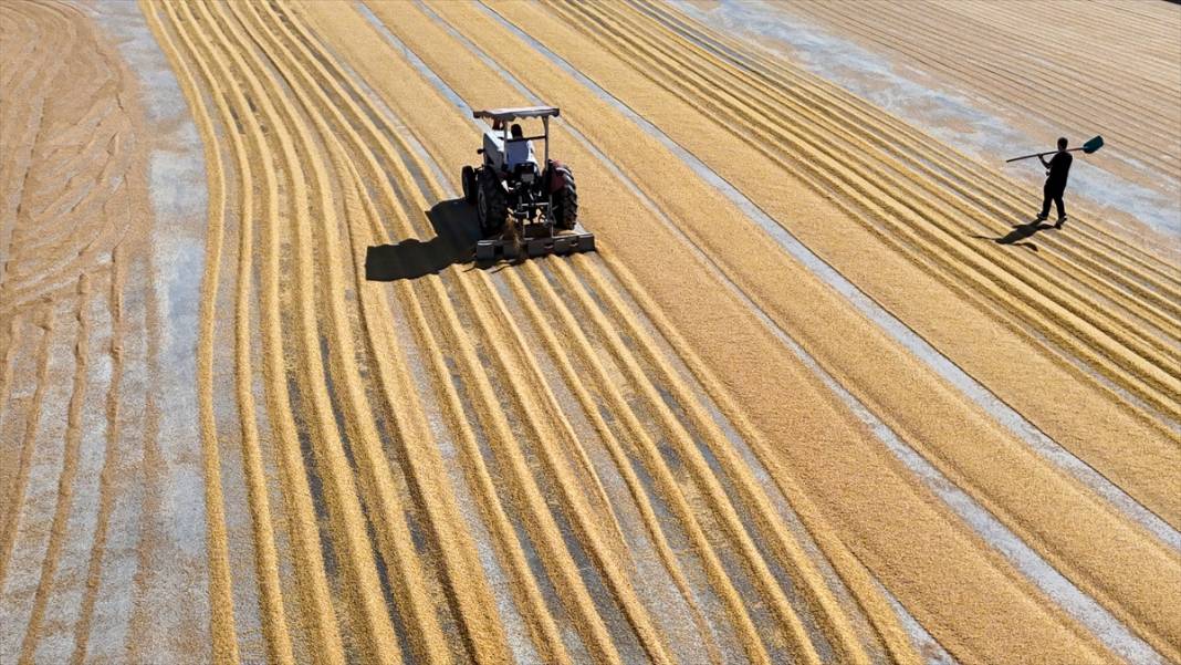 Nizip'te buğday, geleneksel yöntemlerle kurutuluyor 7