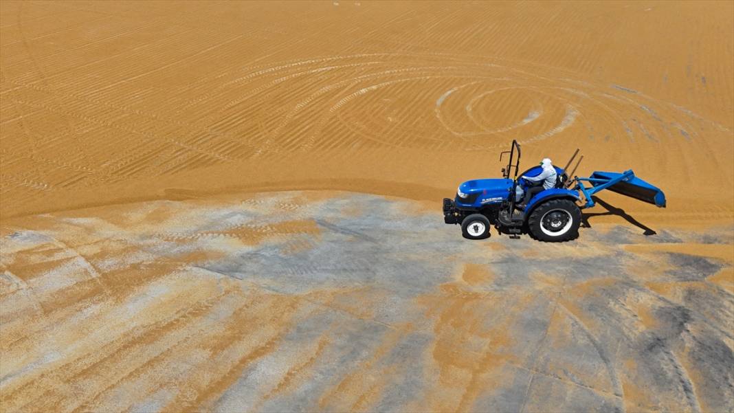 Nizip'te buğday, geleneksel yöntemlerle kurutuluyor 8