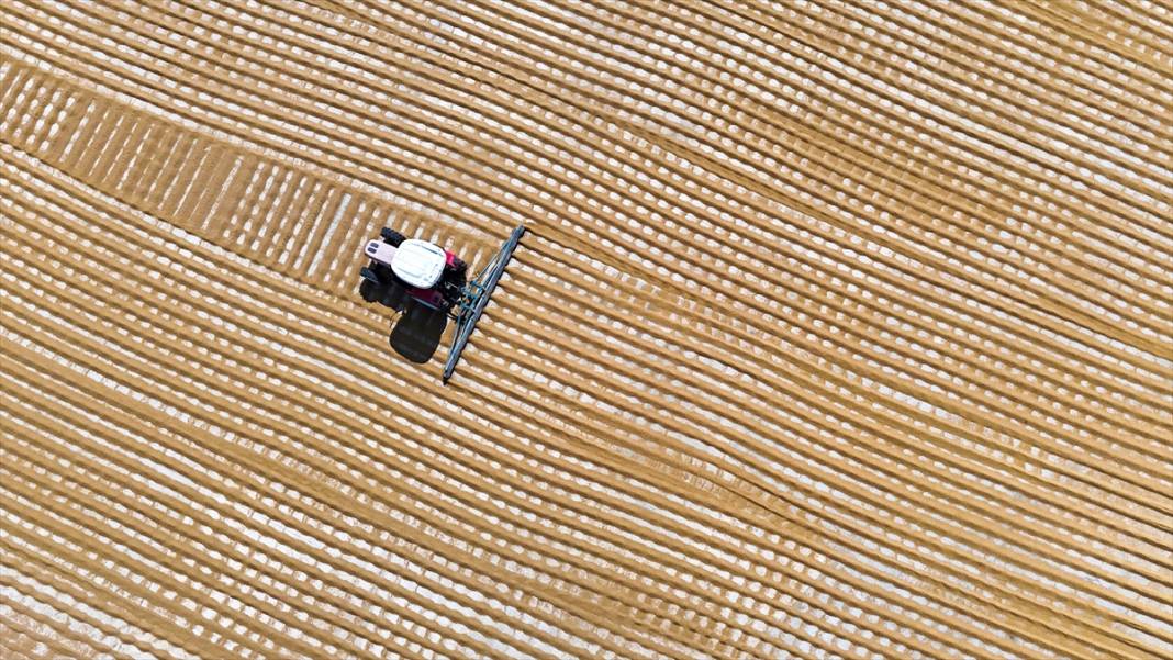 Nizip'te buğday, geleneksel yöntemlerle kurutuluyor 9