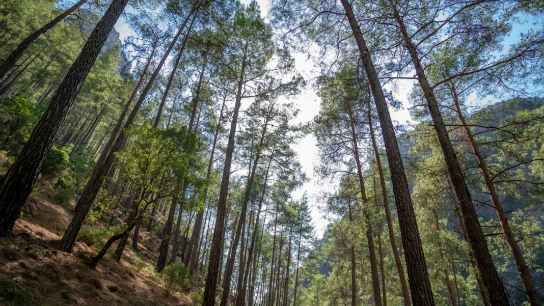 Isparta Yazılı Kanyon Tabiat Parkı 5