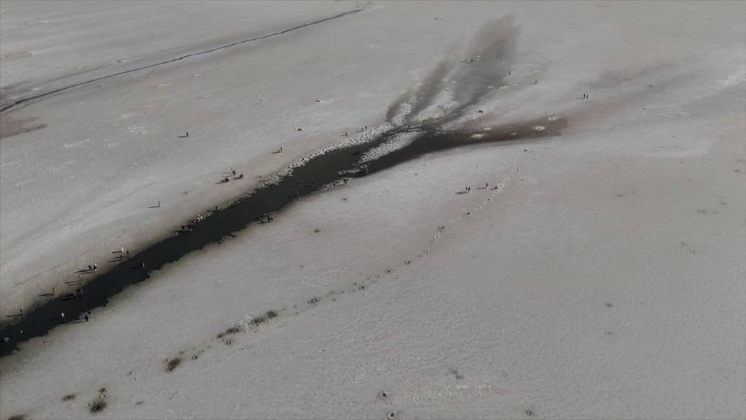 Tuz Gölü alarm veriyor: Kuraklık kritik seviyede 1