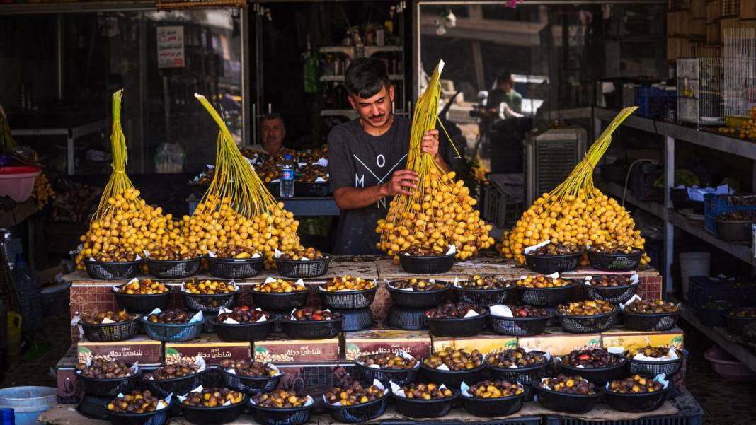 Irak'ta hurma hasadı başladı 11