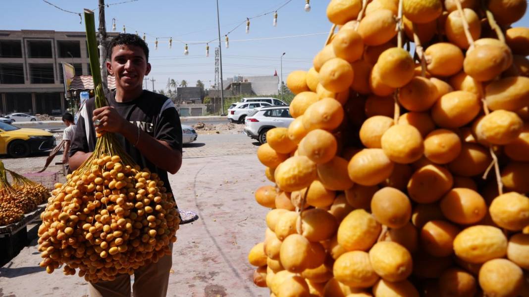 Irak'ta hurma hasadı başladı 12
