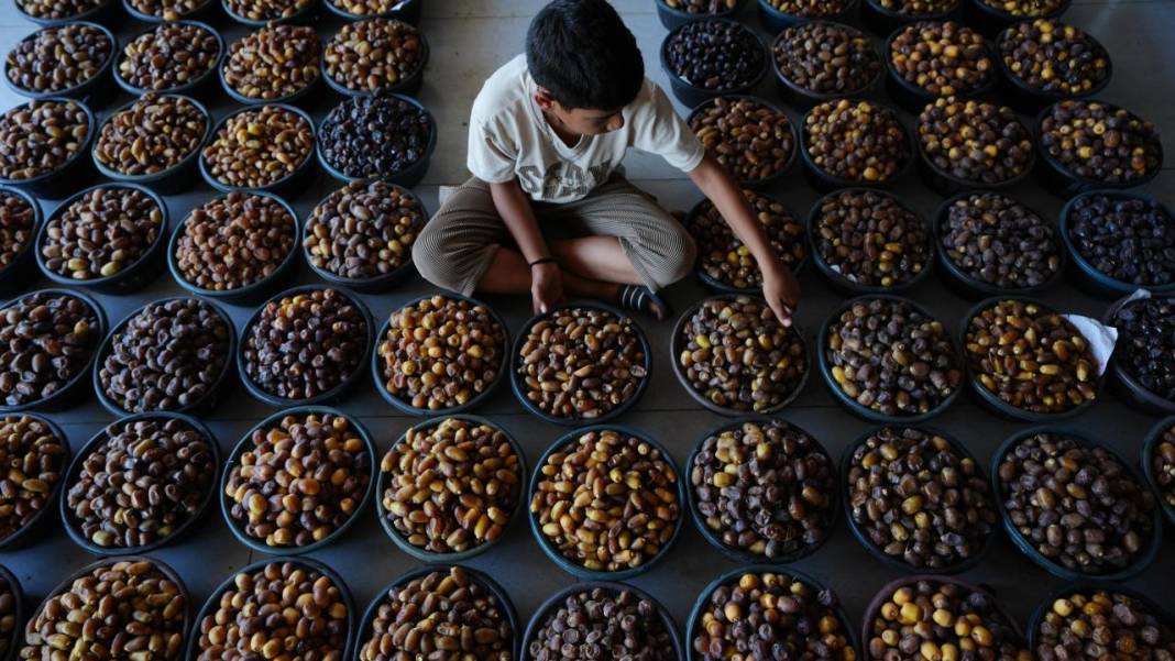 Irak'ta hurma hasadı başladı 13