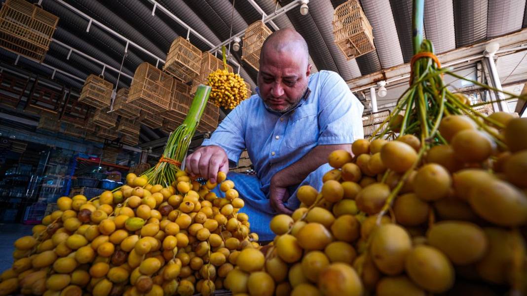 Irak'ta hurma hasadı başladı 14