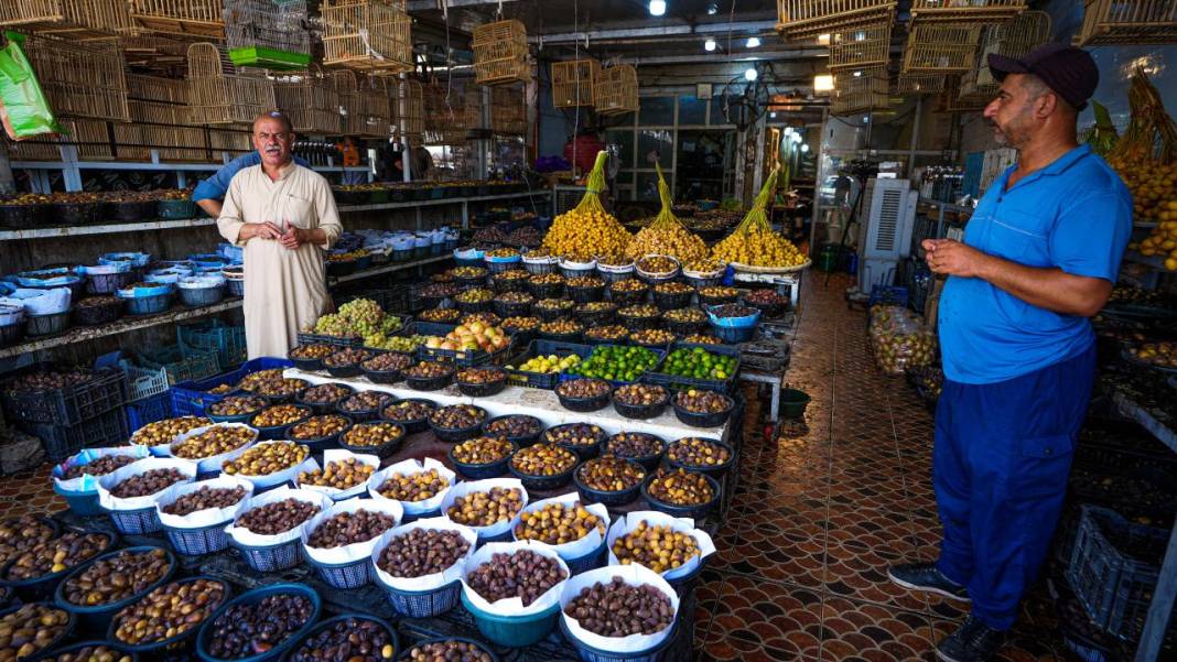 Irak'ta hurma hasadı başladı 15