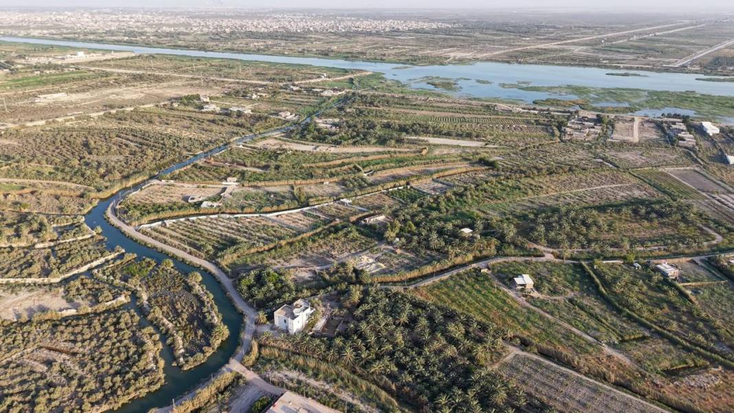 Irak'ta hurma hasadı başladı 23