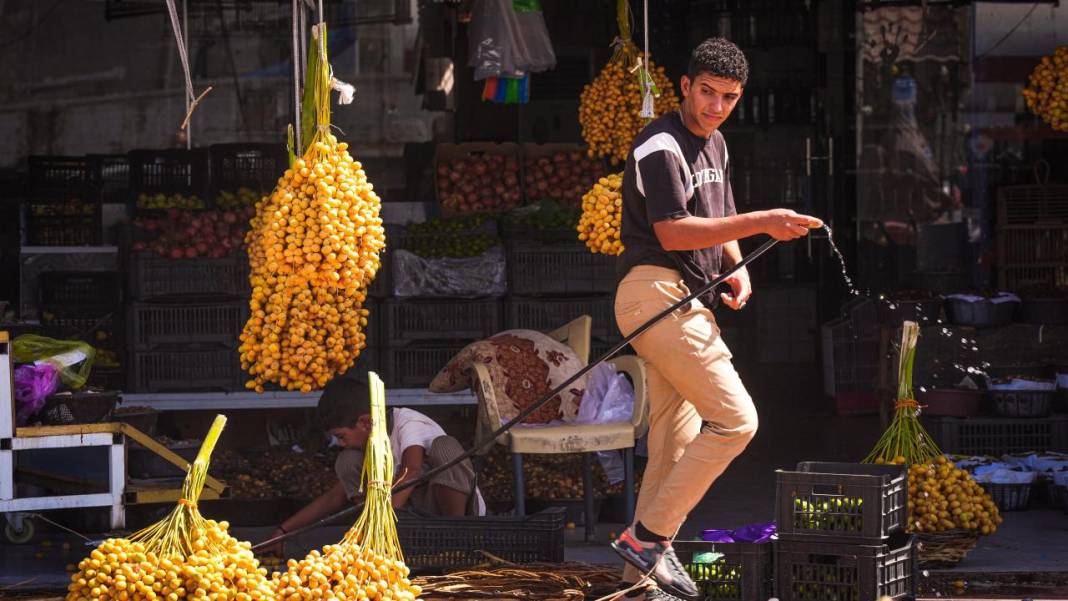 Irak'ta hurma hasadı başladı 8